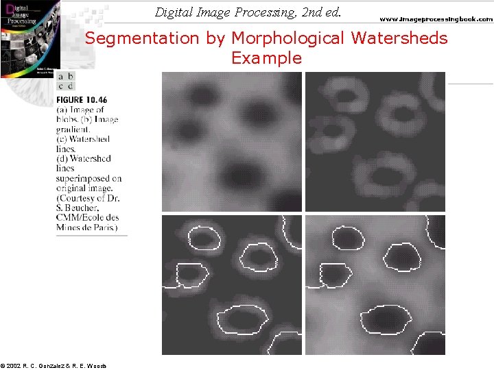 Digital Image Processing, 2 nd ed. www. imageprocessingbook. com Segmentation by Morphological Watersheds Example