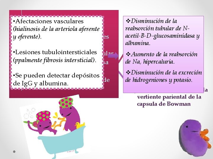  • • Afectaciones Enfermedadvasculares fibrosante. (hialinosis de la arteriola aferente • y eferente).