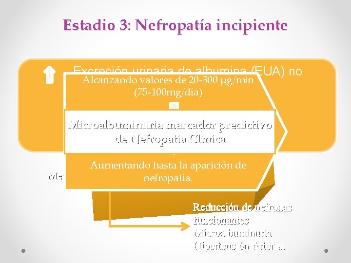 Estadio 3: Nefropatía incipiente Excreción urinaria de albumina (EUA) no Alcanzando valores de 20
