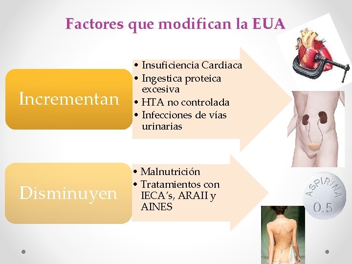 Factores que modifican la EUA Incrementan • Insuficiencia Cardiaca • Ingestica proteica excesiva •