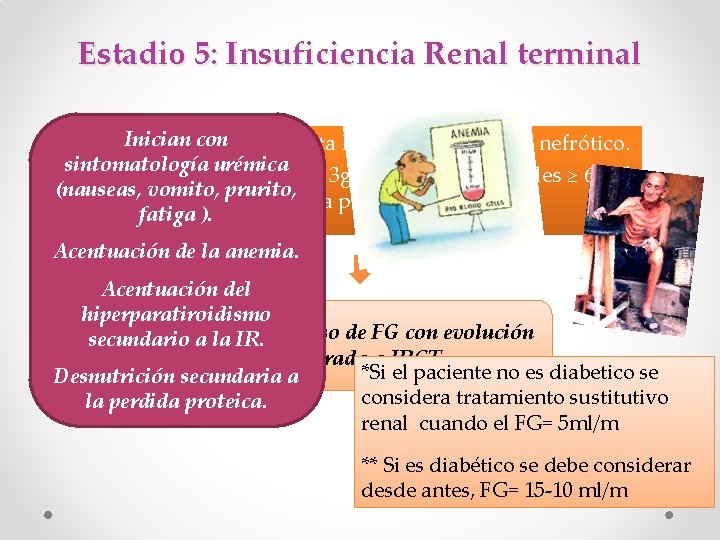 Estadio 5: Insuficiencia Renal terminal Inician conse aumenta hasta llegar a grado nefrótico. •