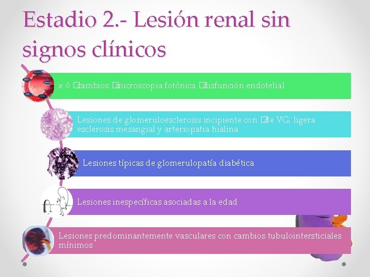 Estadio 2. - Lesión renal sin signos clínicos x ó �cambios �microscopia fotónica �disfunción