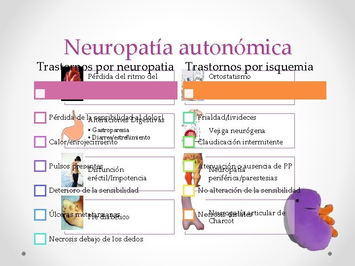 Neuropatía autonómica Trastornos por neuropatia Trastornos por isquemia Pérdida del ritmo del pulso •