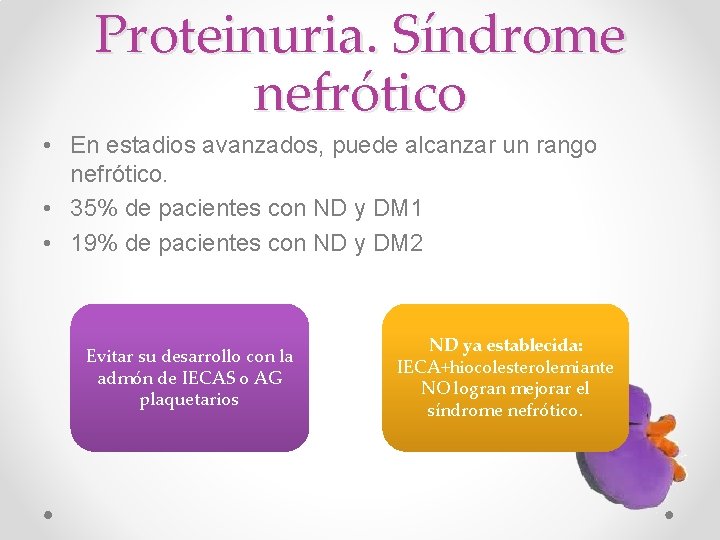 Proteinuria. Síndrome nefrótico • En estadios avanzados, puede alcanzar un rango nefrótico. • 35%