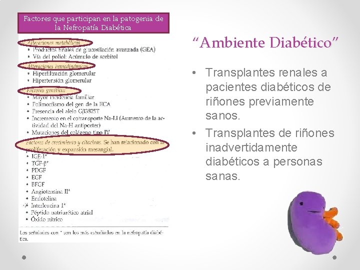 Factores que participan en la patogenia de la Nefropatía Diabética “Ambiente Diabético” • Transplantes