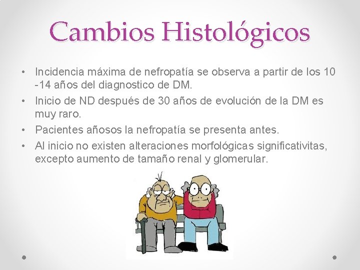 Cambios Histológicos • Incidencia máxima de nefropatía se observa a partir de los 10