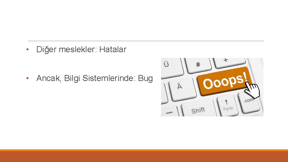  • Diğer meslekler: Hatalar • Ancak, Bilgi Sistemlerinde: Bug 