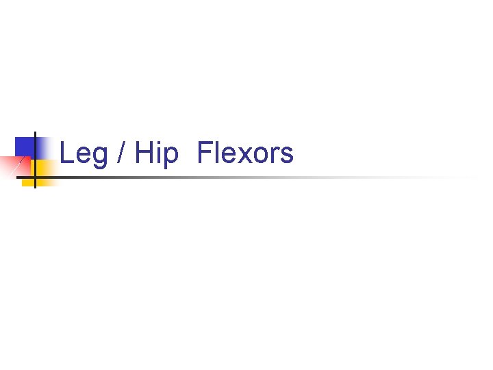 Leg / Hip Flexors 