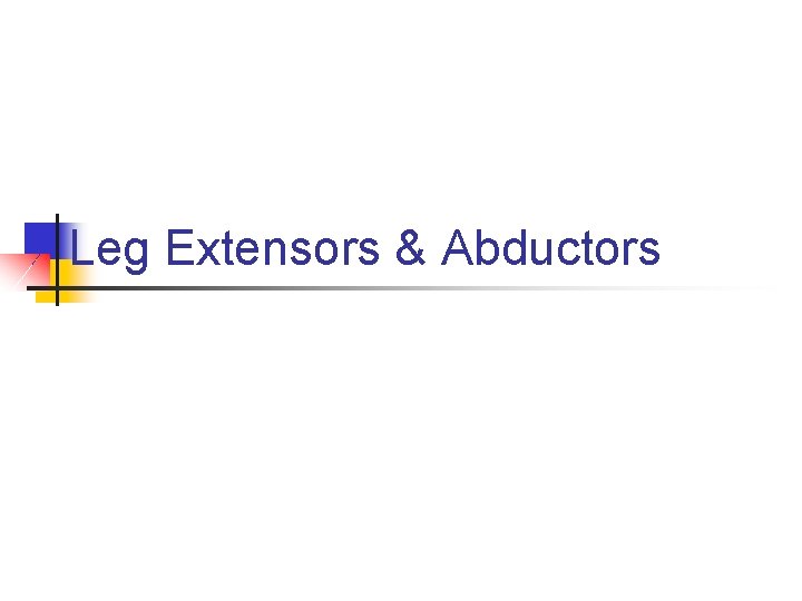 Leg Extensors & Abductors 