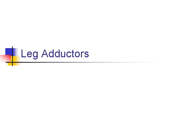 Leg Adductors 