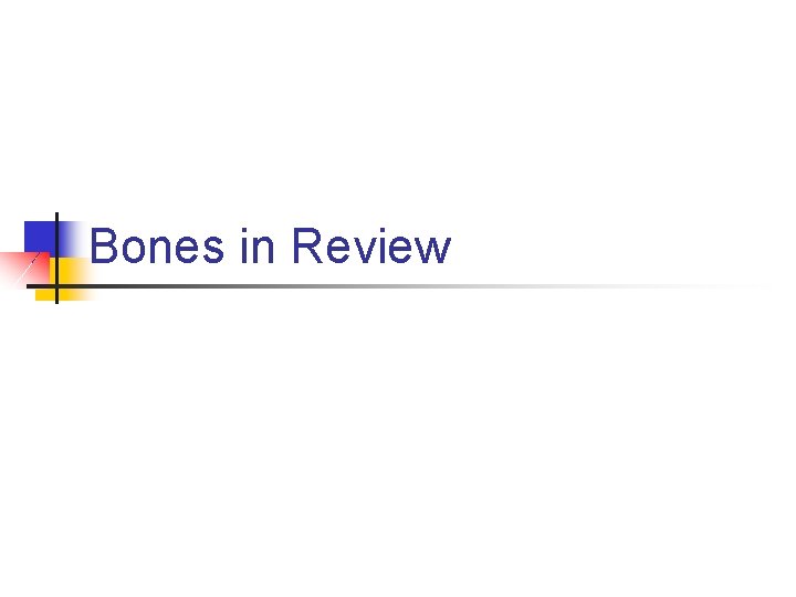 Bones in Review Bones in Review