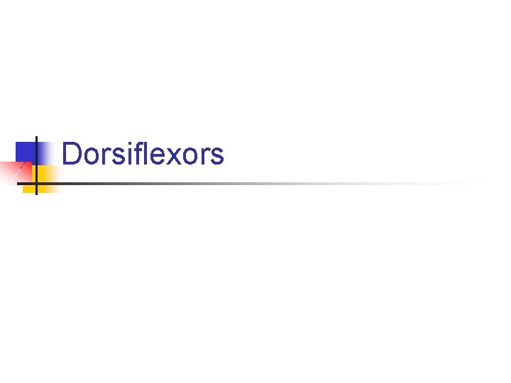 Dorsiflexors Dorsiflexors