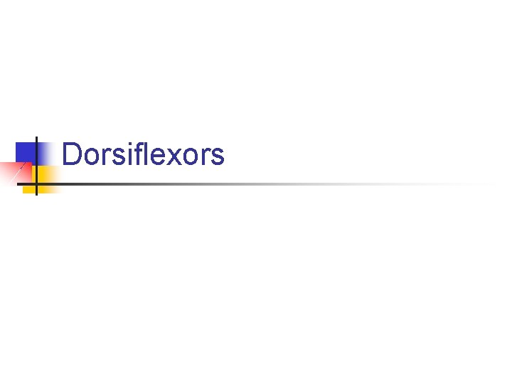 Dorsiflexors 