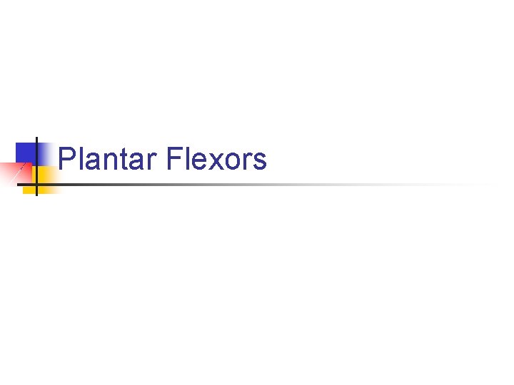 Plantar Flexors Plantar Flexors