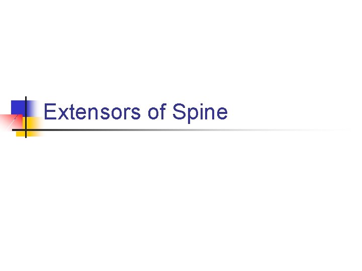 Extensors of Spine Extensors of Spine