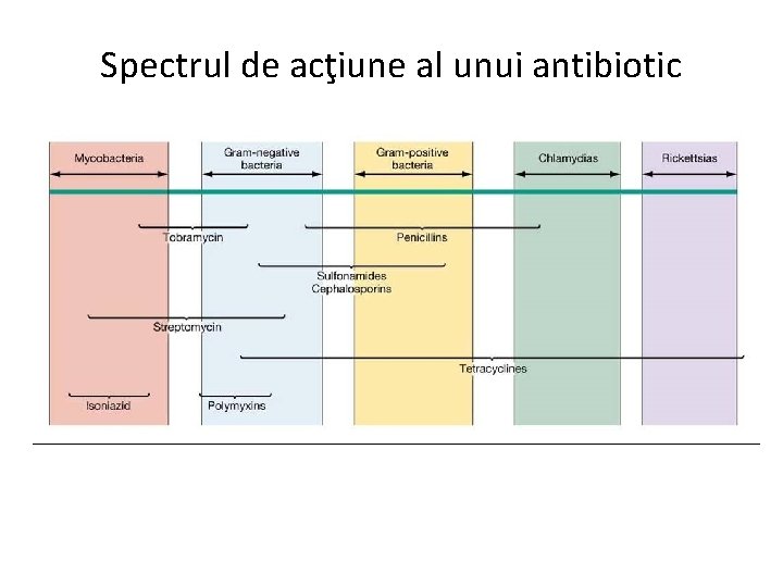 Spectrul de acţiune al unui antibiotic 
