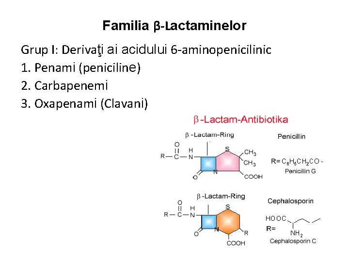 Familia β-Lactaminelor Grup I: Derivaţi ai acidului 6 -aminopenicilinic 1. Penami (peniciline) 2. Carbapenemi