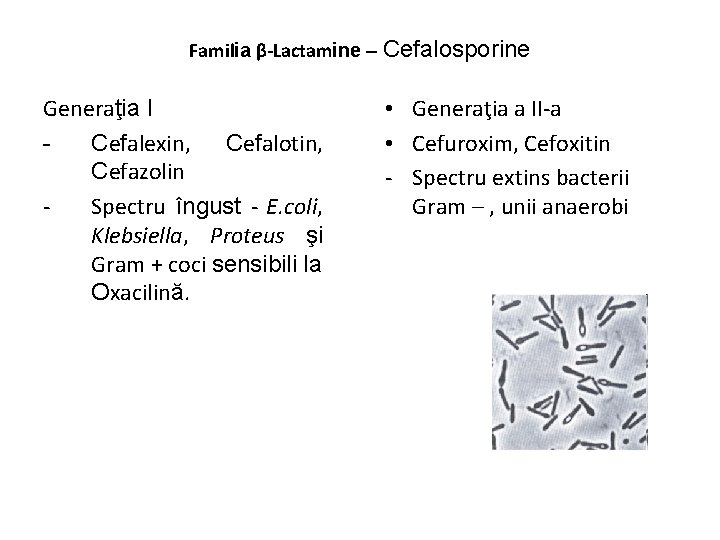 Familia β-Lactamine – Cefalosporine Generaţia I Cefalexin, Cefalotin, Cefazolin Spectru îngust - E. coli,