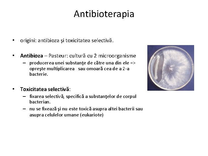 Antibioterapia • origini: antibioza şi toxicitatea selectivă. • Antibioza – Pasteur: cultură cu 2