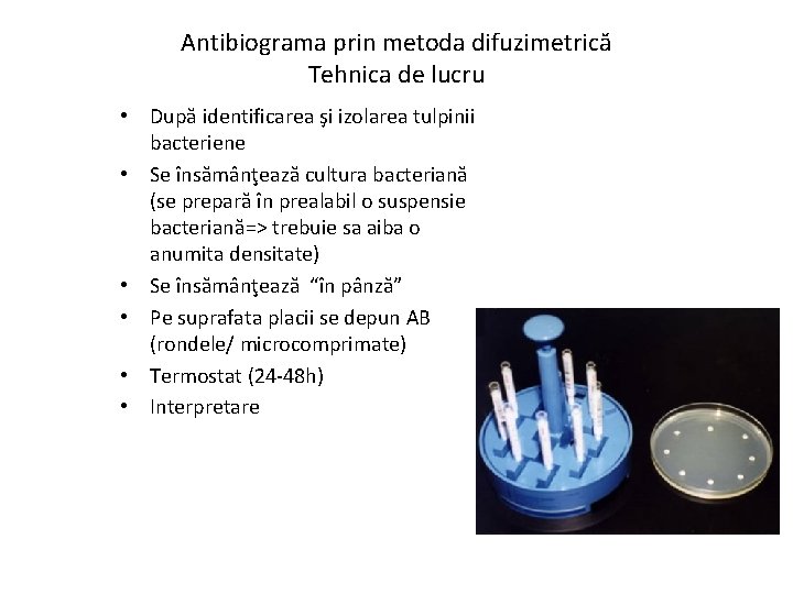 Antibiograma prin metoda difuzimetrică Tehnica de lucru • După identificarea şi izolarea tulpinii bacteriene