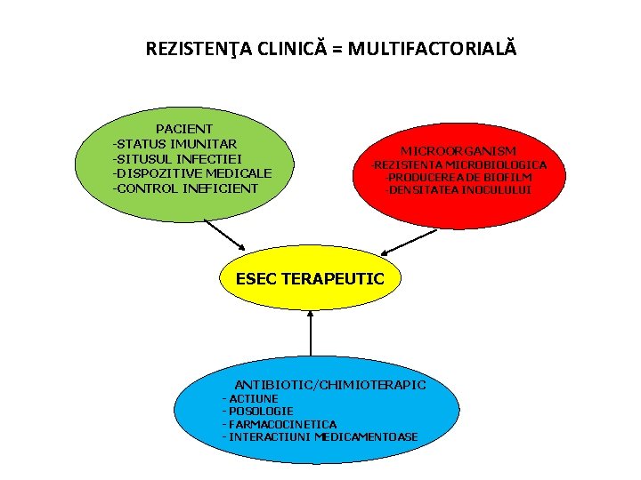 REZISTENŢA CLINICĂ = MULTIFACTORIALĂ PACIENT -STATUS IMUNITAR -SITUSUL INFECTIEI -DISPOZITIVE MEDICALE -CONTROL INEFICIENT MICROORGANISM