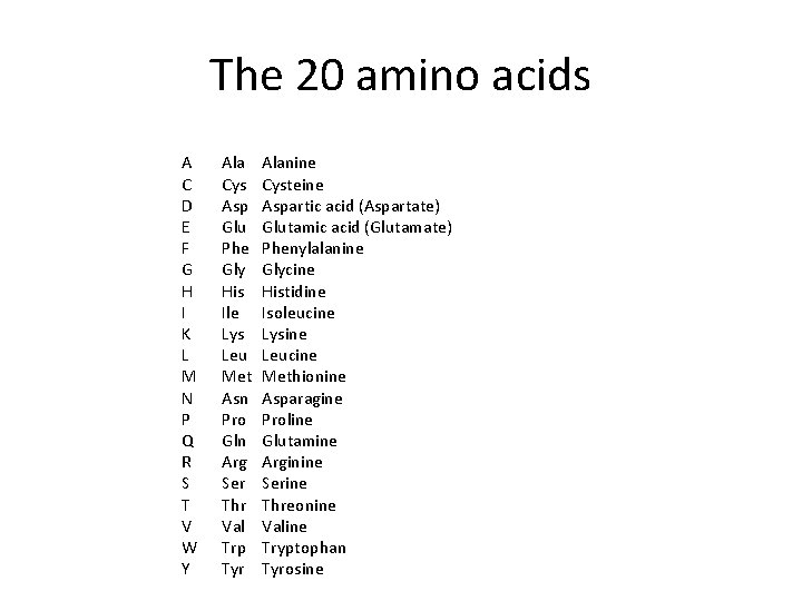 The 20 amino acids A C D E F G H I K L