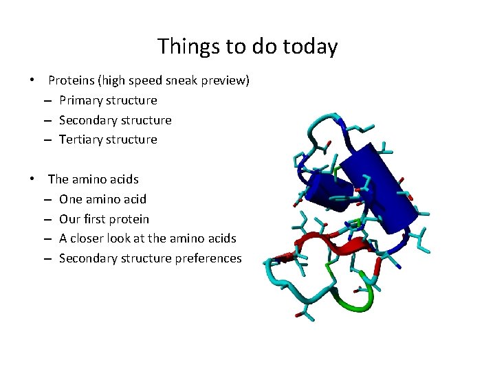 Things to do today • Proteins (high speed sneak preview) – Primary structure –