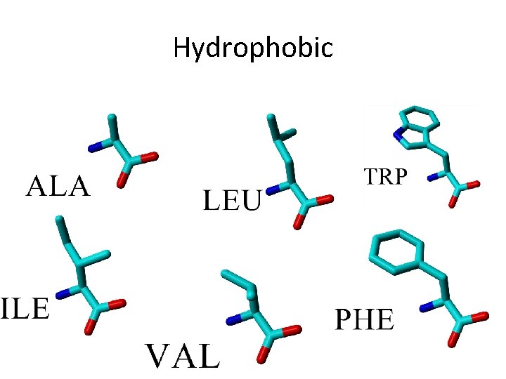 Hydrophobic 