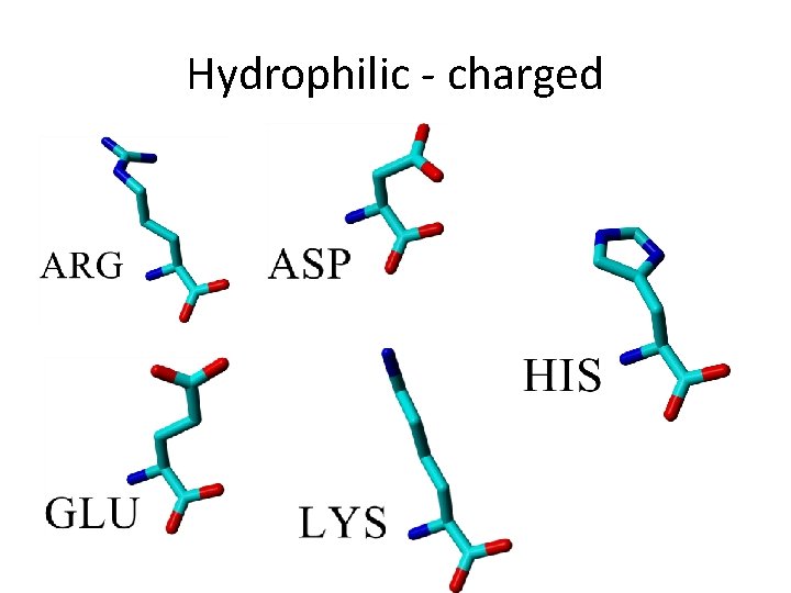 Hydrophilic - charged 