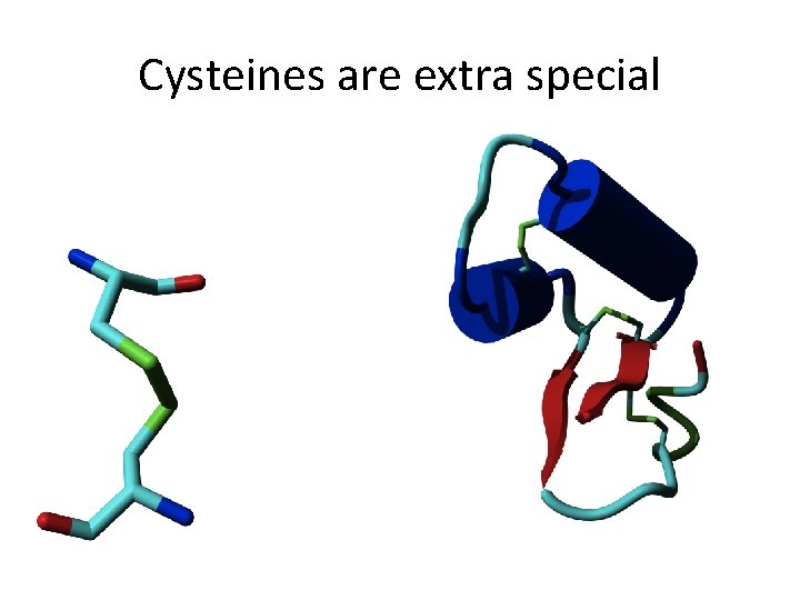 Cysteines are extra special 