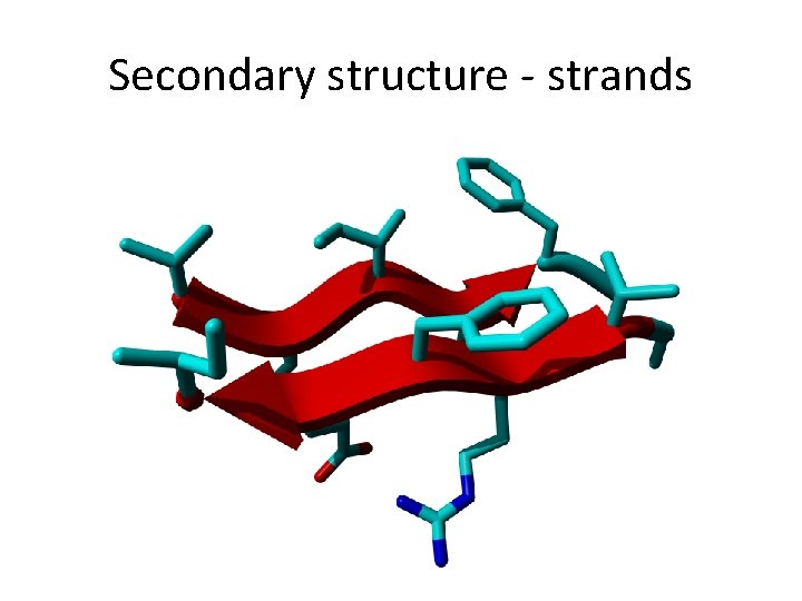 Secondary structure - strands 