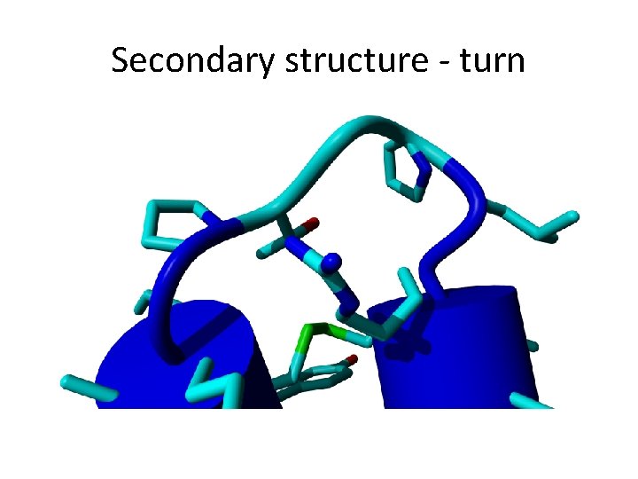 Secondary structure - turn 