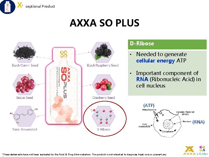 X’ceptional Product AXXA SO PLUS D-Ribose • Needed to generate cellular energy ATP •