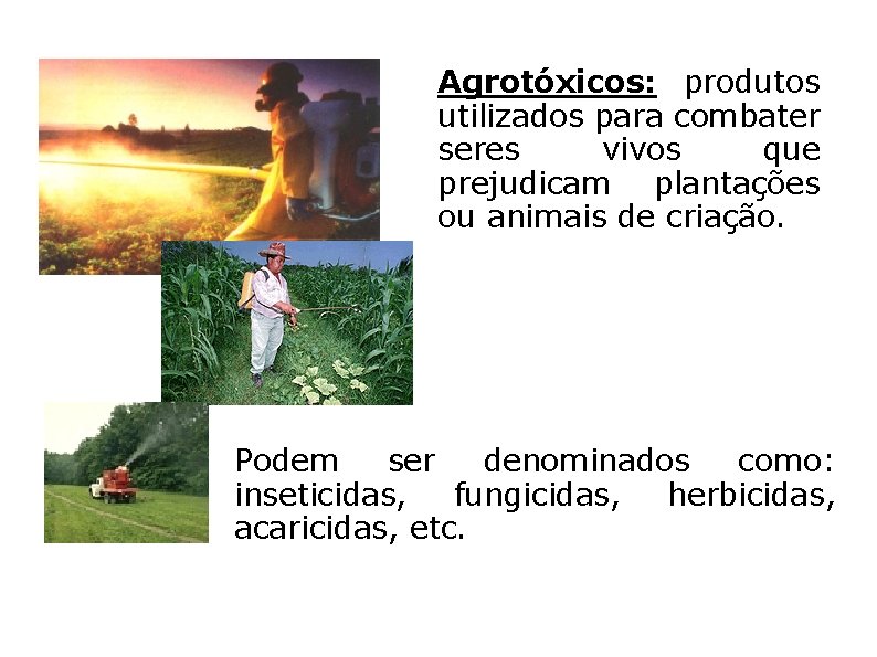 Agrotóxicos: produtos utilizados para combater seres vivos que prejudicam plantações ou animais de criação.