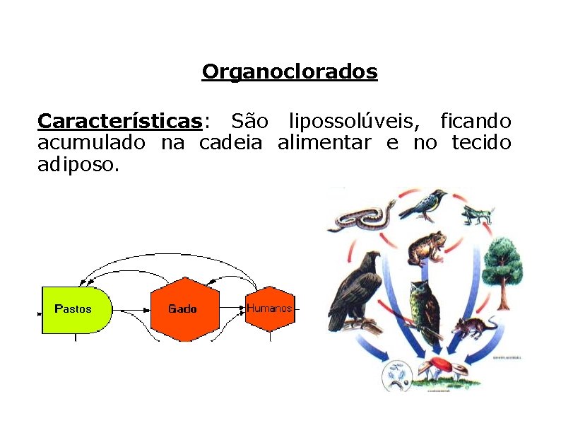 Organoclorados Características: São lipossolúveis, ficando acumulado na cadeia alimentar e no tecido adiposo. 