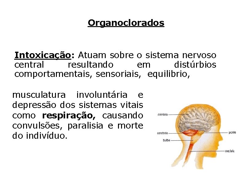 Organoclorados Intoxicação: Atuam sobre o sistema nervoso central resultando em distúrbios comportamentais, sensoriais, equilibrio,