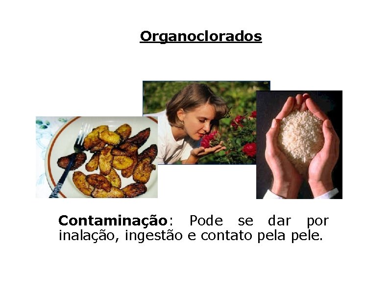 Organoclorados Contaminação: Pode se dar por inalação, ingestão e contato pela pele. 