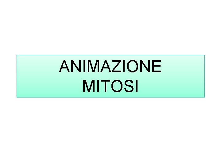 ANIMAZIONE MITOSI 