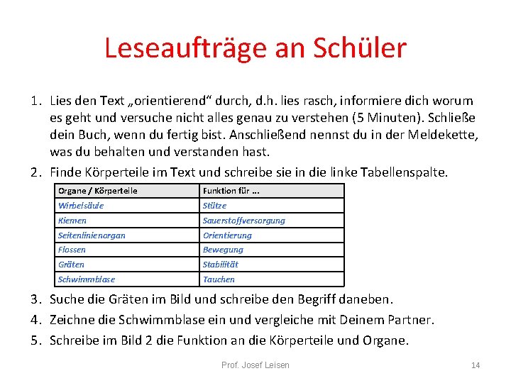 Leseaufträge an Schüler 1. Lies den Text „orientierend“ durch, d. h. lies rasch, informiere