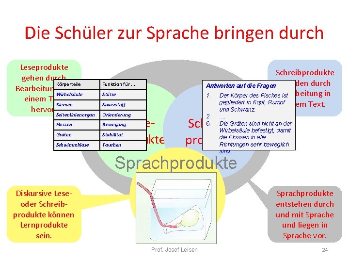 Die Schüler zur Sprache bringen durch Leseprodukte gehen durch Körperteile Bearbeitung aus Wirbelsäule einem