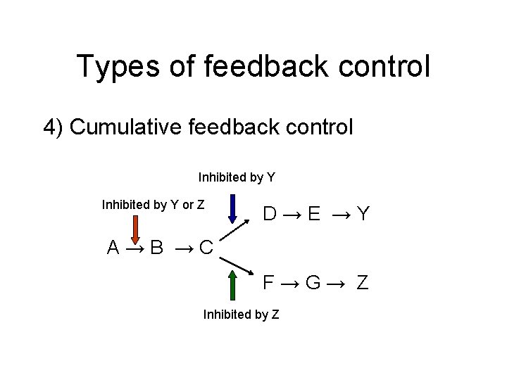 Types of feedback control 4) Cumulative feedback control Inhibited by Y or Z D→E