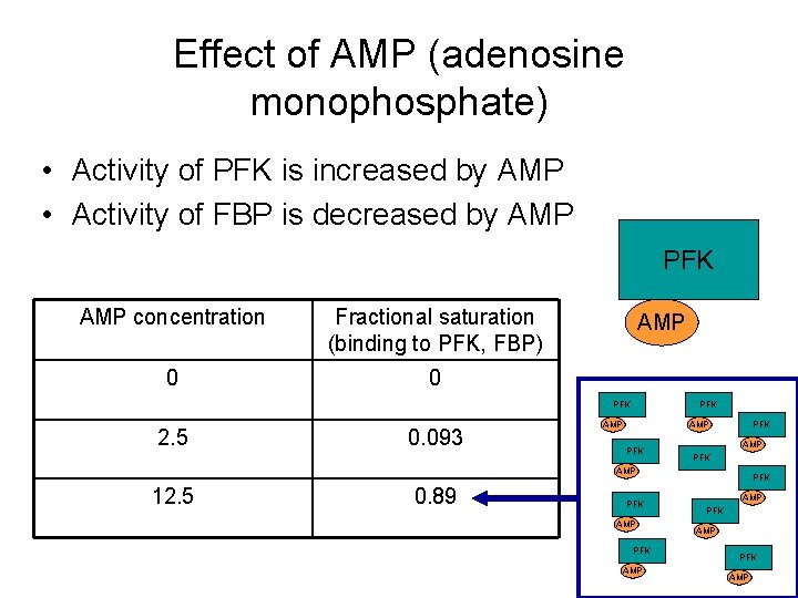 Effect of AMP (adenosine monophosphate) • Activity of PFK is increased by AMP •