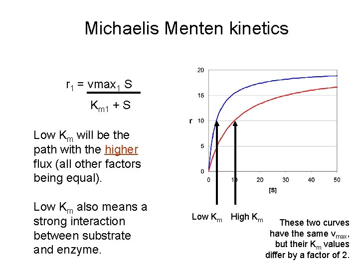 Michaelis Menten kinetics r 1 = vmax 1 S Km 1 + S Low