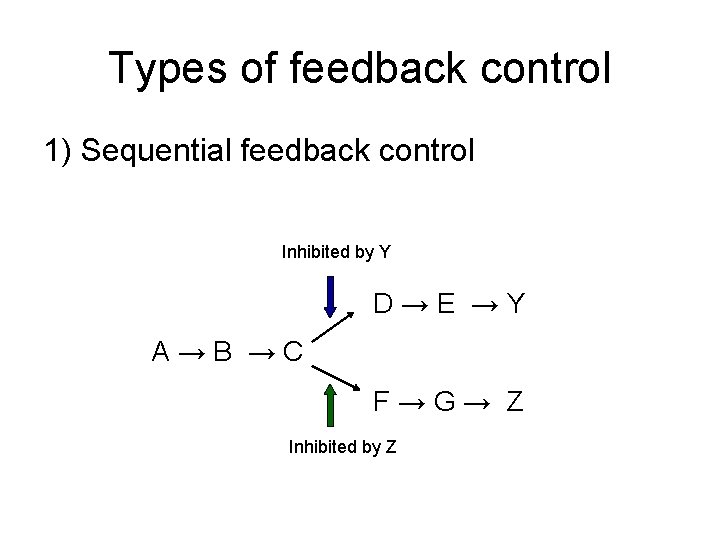 Types of feedback control 1) Sequential feedback control Inhibited by Y D→E →Y A→B