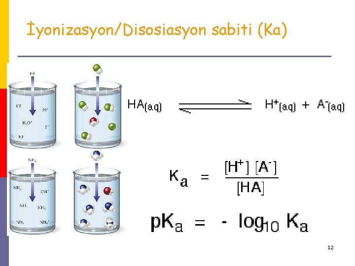 İyonizasyon/Disosiasyon sabiti (Ka) 12 