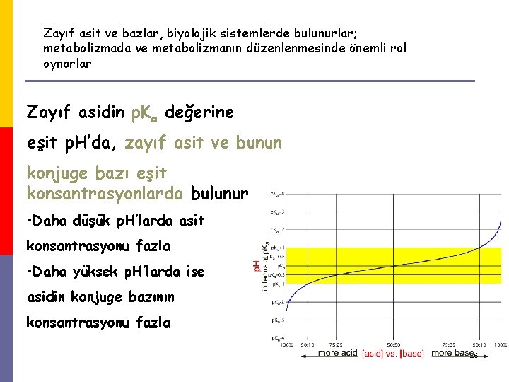 Zayıf asit ve bazlar, biyolojik sistemlerde bulunurlar; metabolizmada ve metabolizmanın düzenlenmesinde önemli rol oynarlar