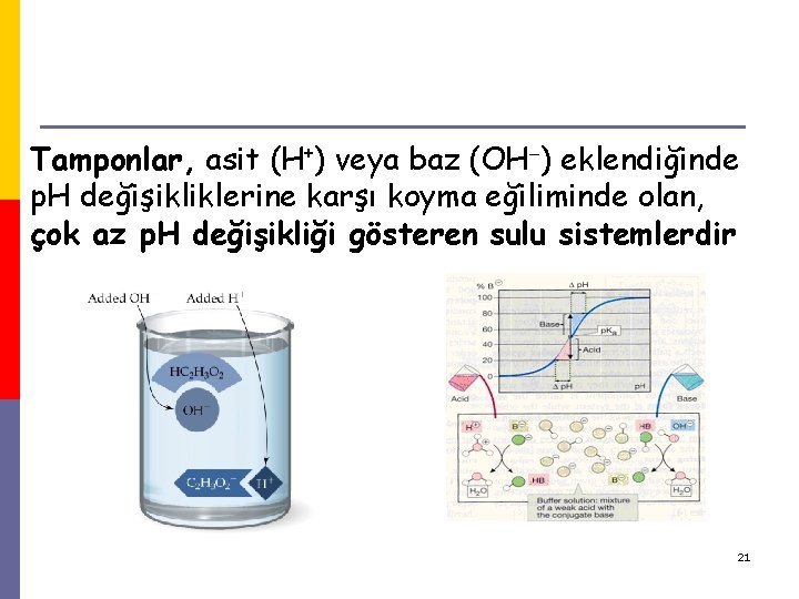 Tamponlar, asit (H+) veya baz (OH ) eklendiğinde p. H değişikliklerine karşı koyma eğiliminde Tamponlar, asit (H+) veya baz (OH ) eklendiğinde p. H değişikliklerine karşı koyma eğiliminde