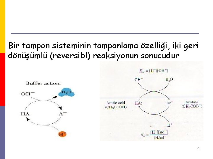 Bir tampon sisteminin tamponlama özelliği, iki geri dönüşümlü (reversibl) reaksiyonun sonucudur 22 Bir tampon sisteminin tamponlama özelliği, iki geri dönüşümlü (reversibl) reaksiyonun sonucudur 22