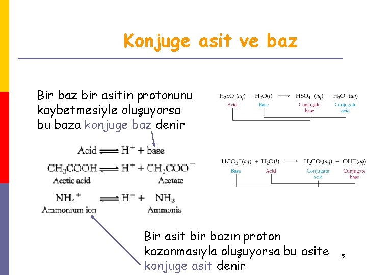 Konjuge asit ve baz Bir baz bir asitin protonunu kaybetmesiyle oluşuyorsa bu baza konjuge