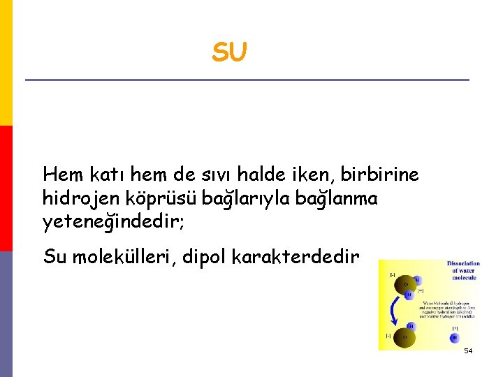 SU Hem katı hem de sıvı halde iken, birbirine hidrojen köprüsü bağlarıyla bağlanma yeteneğindedir;